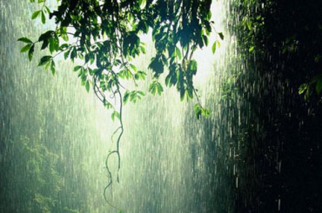 Hujan menjadi Musibah karena Kejahilan Manusia