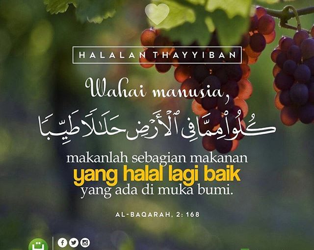 Image result for baik halal