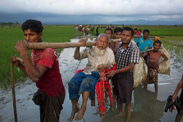 Kejamnya Militer Myanmar, Pasang Ranjau Darat untuk Warga Rohingya