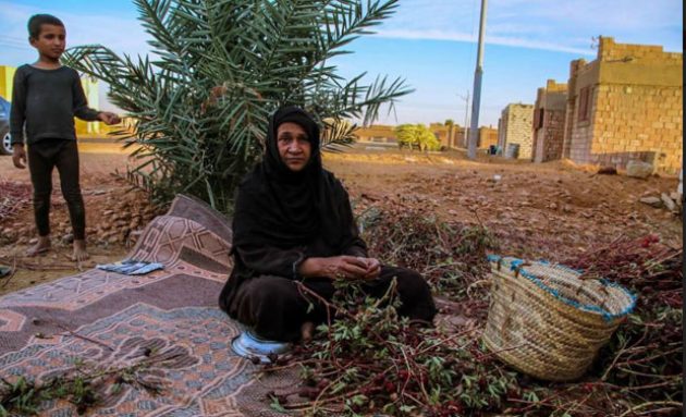 Al Samaha, Desa Khusus Wanita di Mesir, Pria Dilarang Masuk