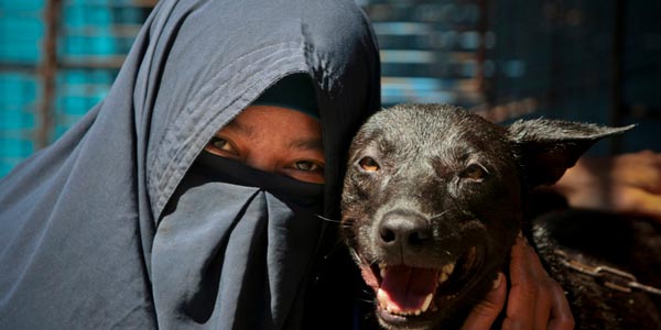 5 Hewan yang tidak Boleh Dipelihara oleh Muslim