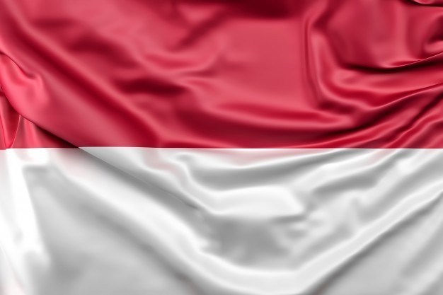 pemersatu Indonesia