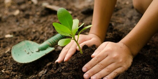 Rasulullah Sangat Menganjurkan Menanam Pohon dan Menjaga Lingkungan