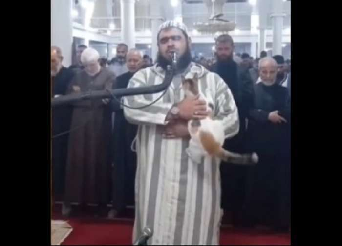 Menggemaskan! Kucing Ini Melompat di Pundak Syeikh Walid Saat jadi Imam Tarawih, Baru Turun setelah Cium Pipi