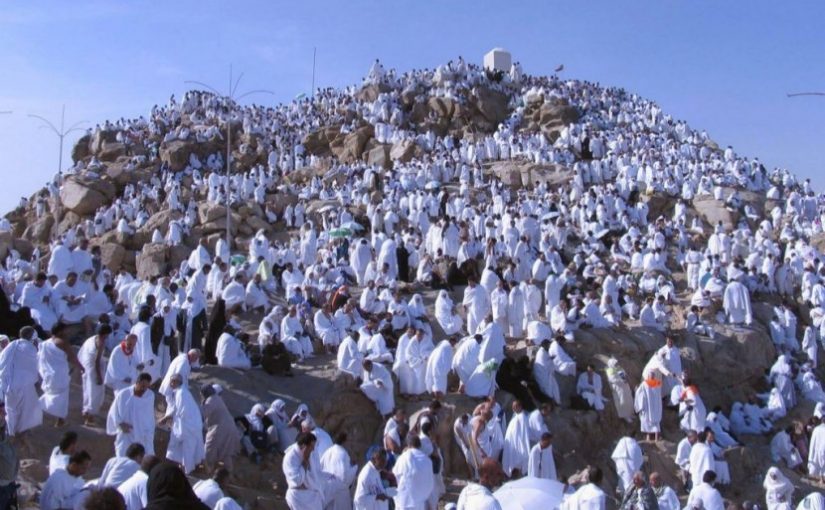 Seluruh Jamaah Haji Laksanakan Wukuf di Arafah Hari Ini