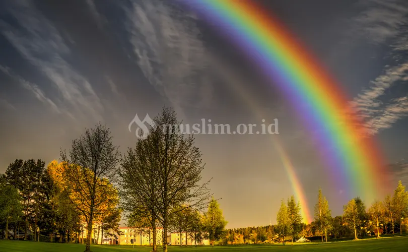 Bagaimana Bermuamalah dengan Kaum LGBT Menurut Fatwa Ulama?